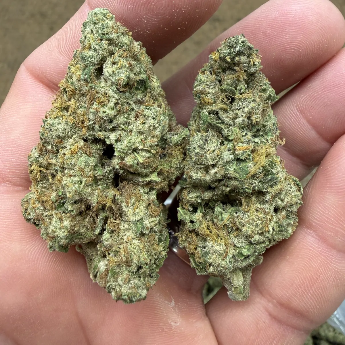 Pandemic Punch Flower